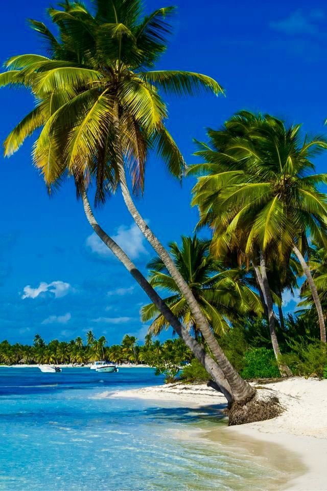 Good morning my friends, happy weekend😃
God bless you 🙏🤲
🦭🐟🦞🦭🐟🦞🦭🐟🦞🦭🐟🦞🦭🐟🦞🦭🐟🦞🦭🐟
#PuertoRico 🌞⛅️🏄🏻‍♂️
<a href="/Soy_Donna_/">🇦🇷♡Donna♡🇦🇷💙Sra de Morales 💍💙</a>💙I love you😘😍🥰
<a href="/Efrain2__/">Efrain🤙🌊🏄‍♂️</a> ❤️
<a href="/LuDonna_/">🅓Donna🅓💙Sra de Morales💍💙</a> 💙I love you😘😍🥰
<a href="/Efrain1_D/">Efrain🤙🌊🏄‍♂️</a>❤️
<a href="/DonnaEfrain/">DonnaEfrain</a> 👼
<a href="/DE_SILVIA_T/">🫶💙𝗦𝗜𝗟💙</a> 🌸
<a href="/Atlanna__/">🫶SIL🫶</a> 🌺
<a href="/NairaEyen/">*.*💙Naira💙*.*</a> 🤗
<a href="/NaiaraEyen/">🦋ƝAIARA🦋</a>👼🏻