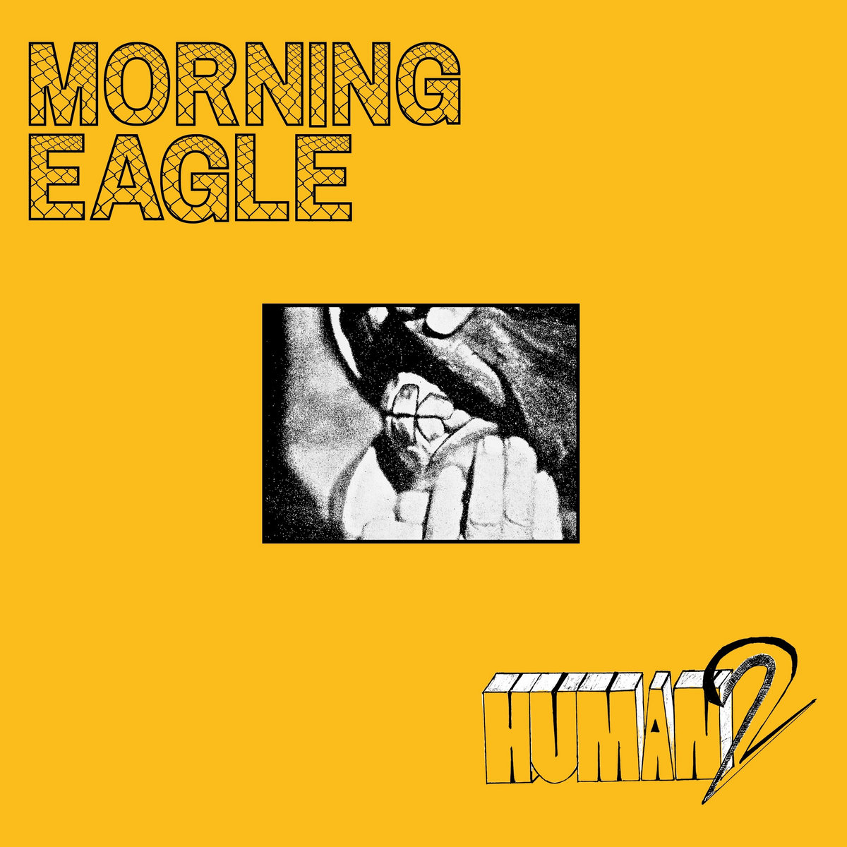 Morning Eagle <a href="/Mrngegle/">Morning Eagle</a>は新曲"Human2"を公開しました
morningeagle.bandcamp.com/track/human2