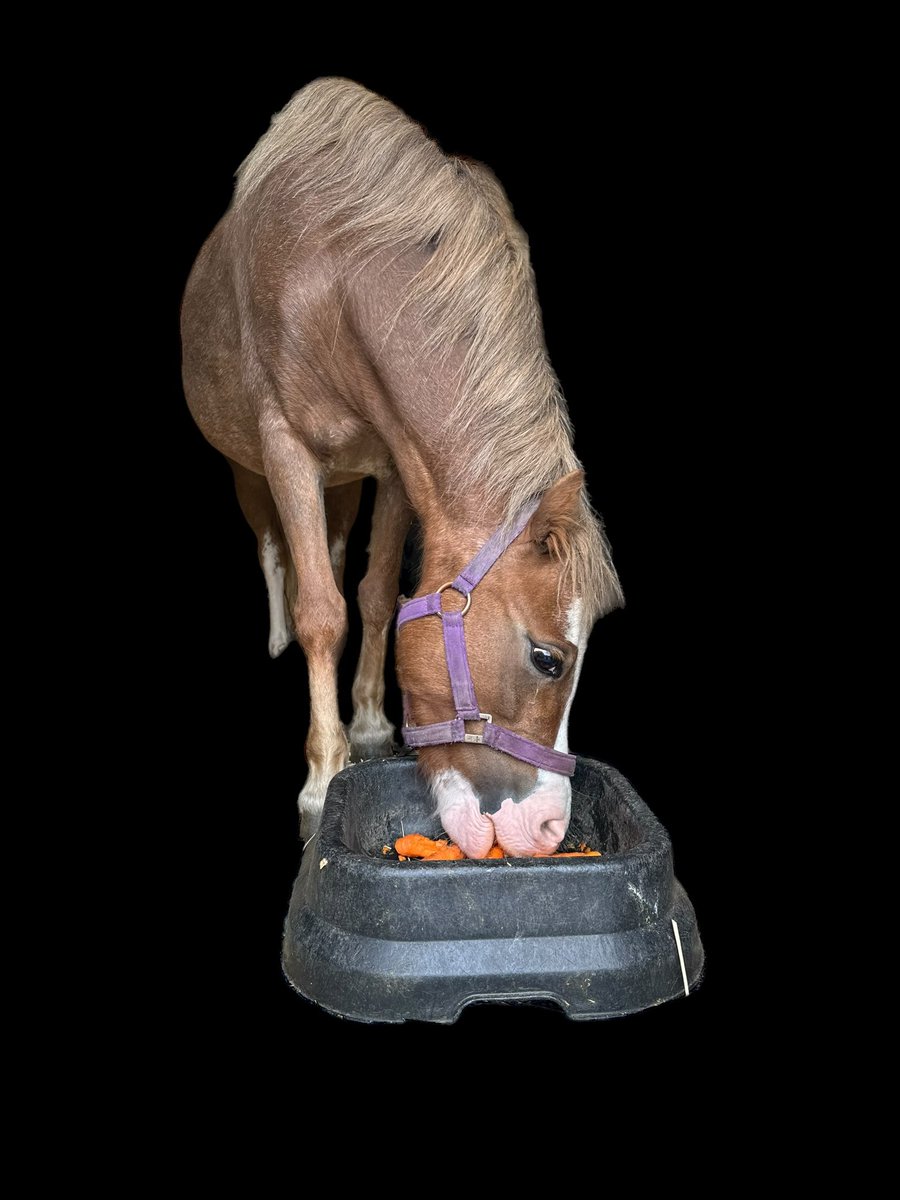 Tracy Vigors tweet media