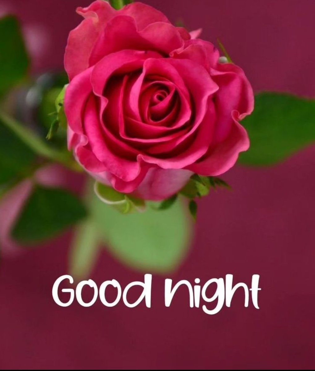 Good Night everyone 

Sweet dreams 😴 

#LaCasaDeLosFamososMx #LCDLFMX2 #LaCasaDeLosFamososMexico #LCDLFMX #PAKvBAN #Goodn8t