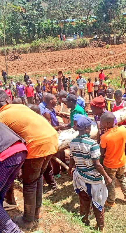 GicumbiN's tweet photo. Uyu munsi Urubyiruko rwa @GicumbiDistrict #Gitisector na #Rwamikosector kubufatanye n'Abaturage n'ubuyobozi bwa Karere bakoze umuganda wo gutunda ibiti byo gutinda ikiraro. https://t.co/WE79dmrYiQ