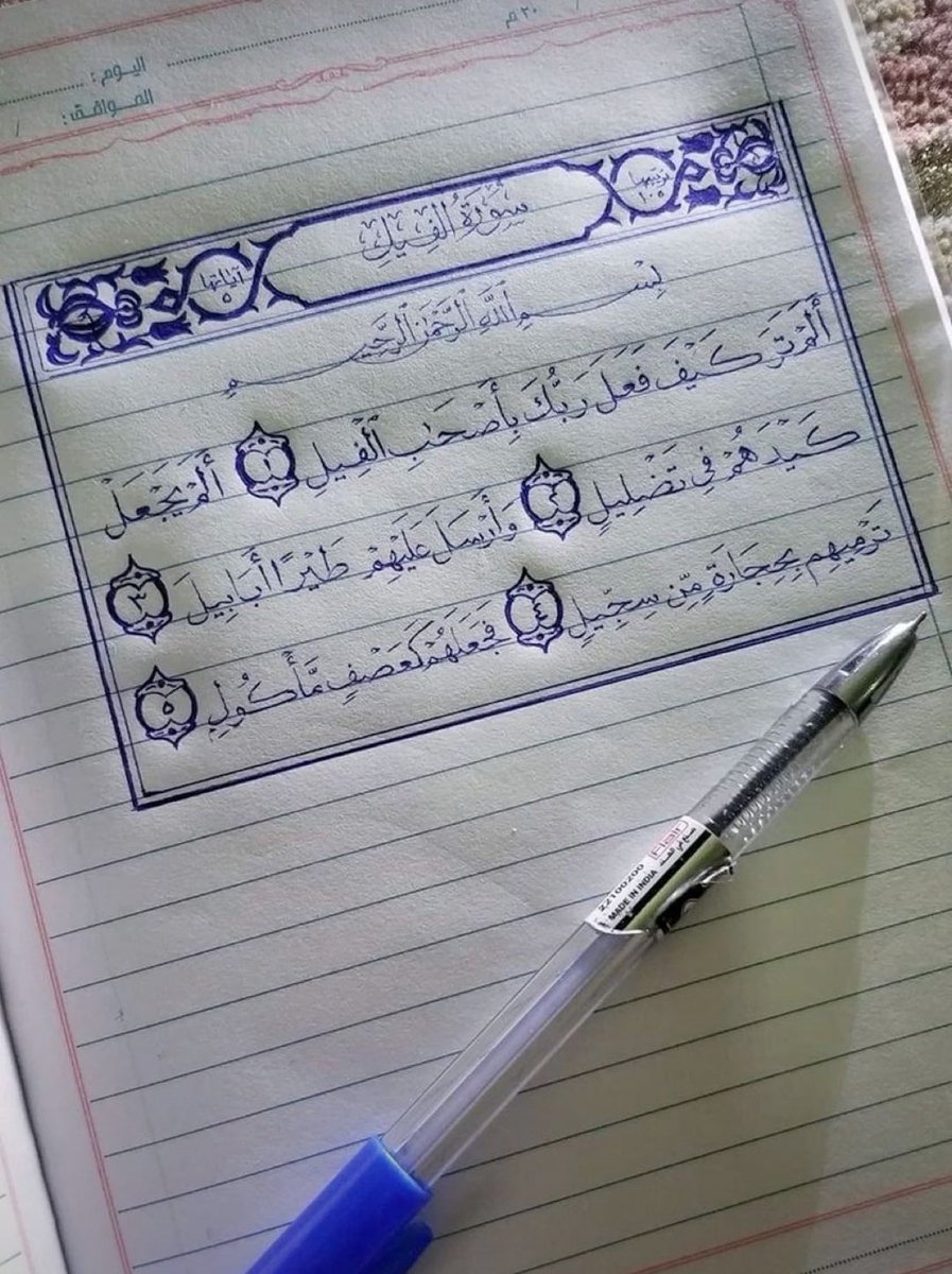 قلب الاسد. فرز نشط💯 . (@dr_algalal) on Twitter photo ماشاء الله ماشاء الله