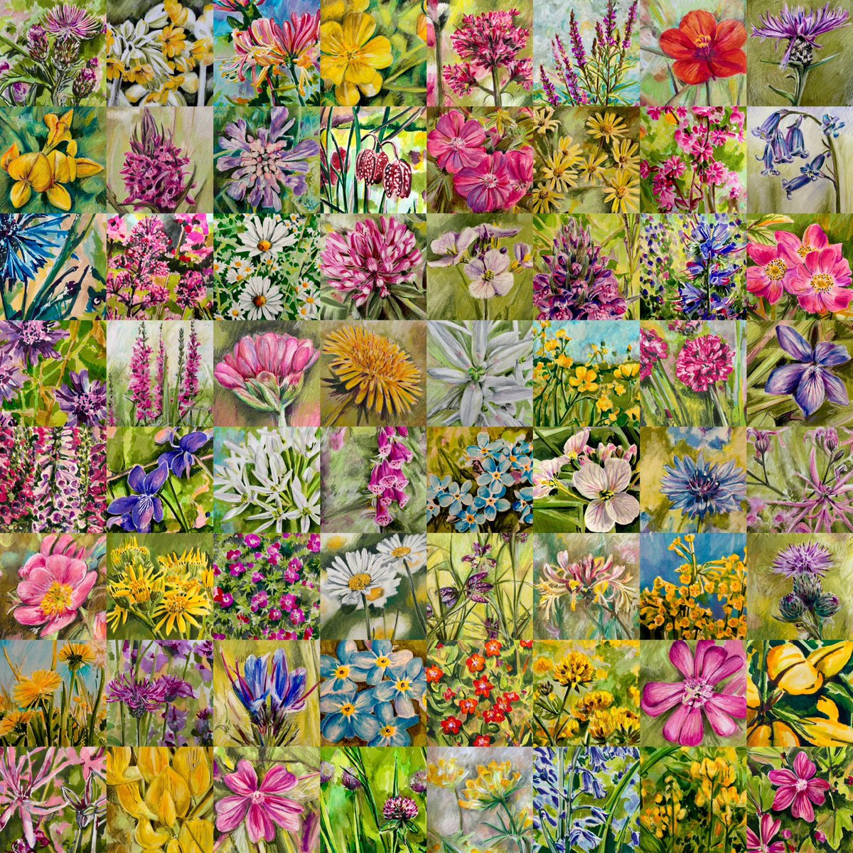 I’ve finished #drawingaugust and successfully managed 2 x 20 minute wildflower drawings every day. I set myself a challenge of using unfamiliar pastels &amp; pens too,and now have a huge sense of achievement. Thanks everyone for the lovely supportive comments-I really appreciate it😊