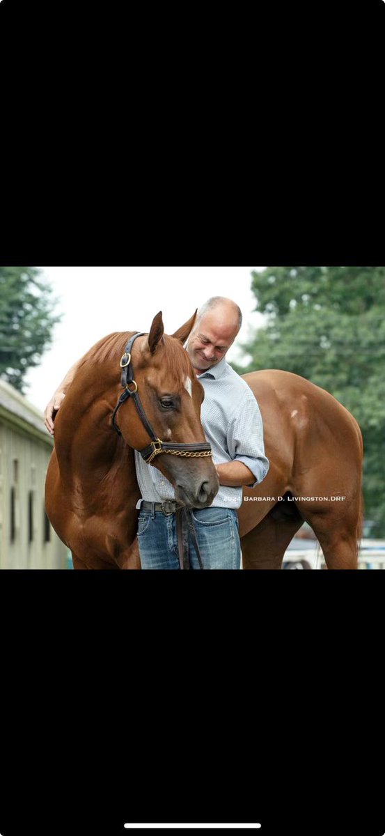 Tom Morley tweet media