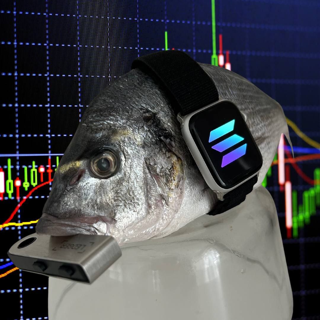 <a href="/wallstreetbets/">WallStreetBets</a> Moon programmed 
CA : 6Md8Drb7NsFMx5BfRL2cA6JgXvb7KddLzmVXamh2du9c