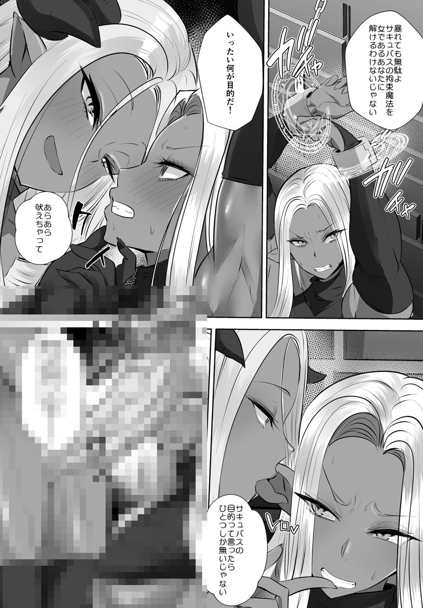 サキュバスの目的とは一体・・・・ 