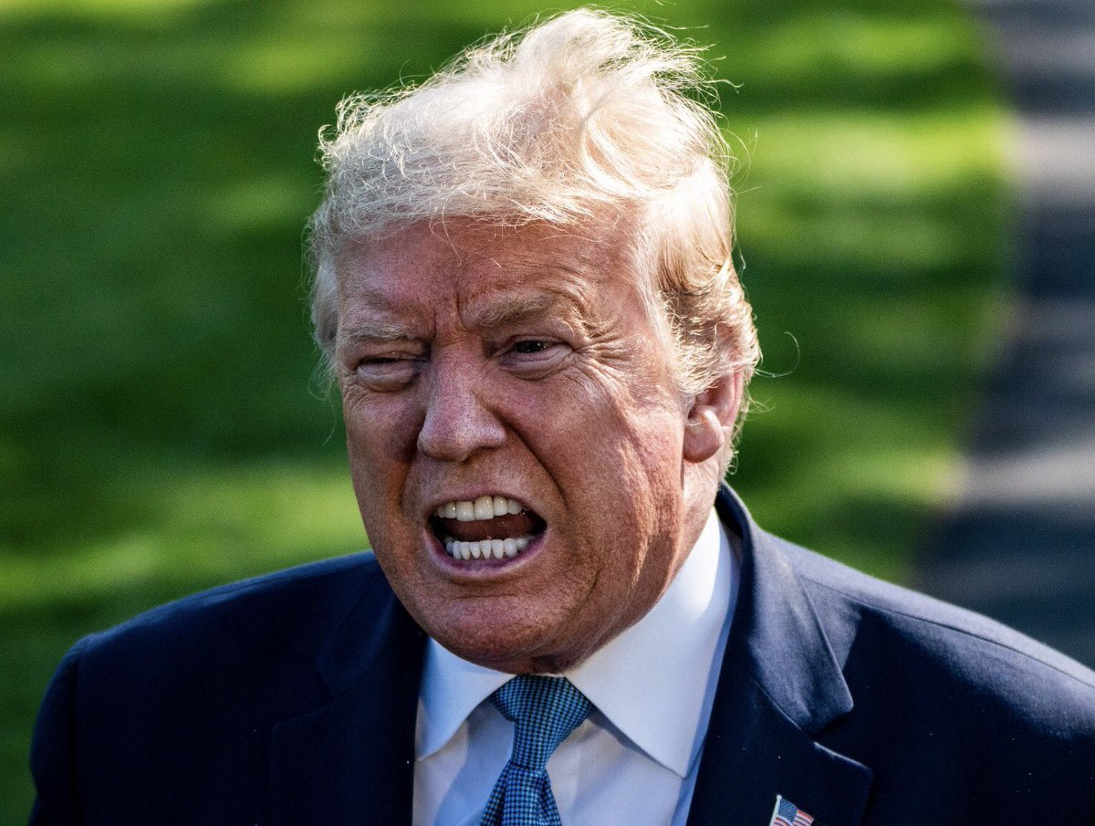 middleageriot's tweet image. At this point, Donald Trump is more likely to have a mental condition named after him than a presidential library.