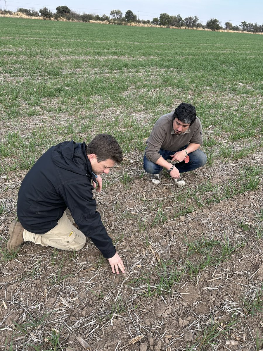 Grupo Rio Seco tweet media