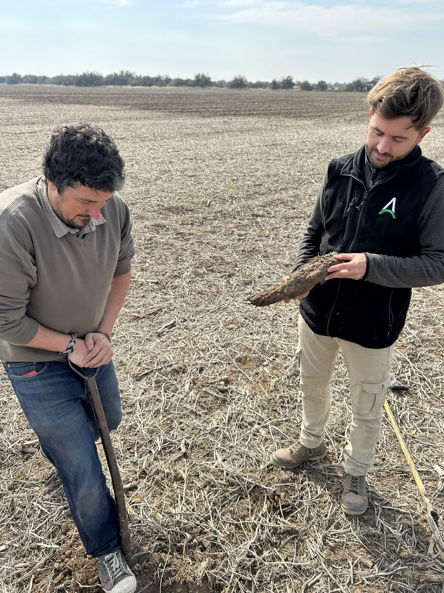 Grupo Rio Seco tweet media