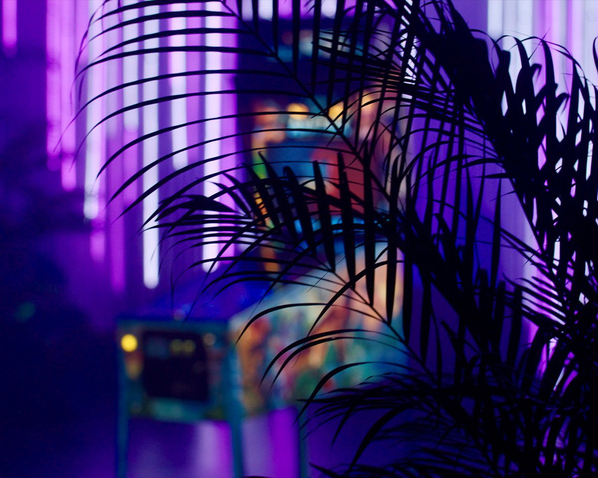 An extraordinary battle is about to unfold.