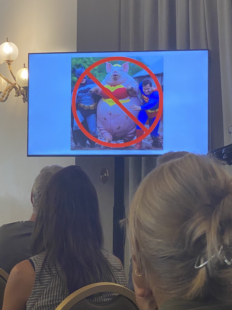 Maria Vilain Rørvang tweet media