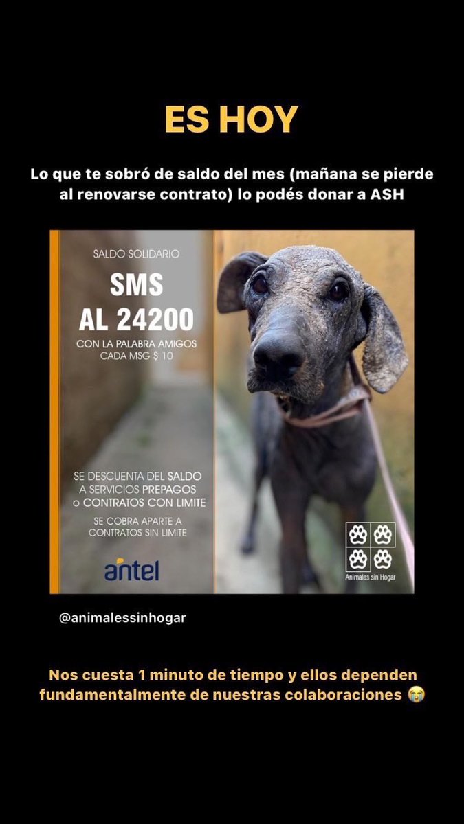 ManuVacc's tweet photo. vengo con el spam de cada fin de mes, nos lleva menos de 1 minuto y a ellos los ayuda todo el mes ❤️ https://t.co/XNOptHhd8D