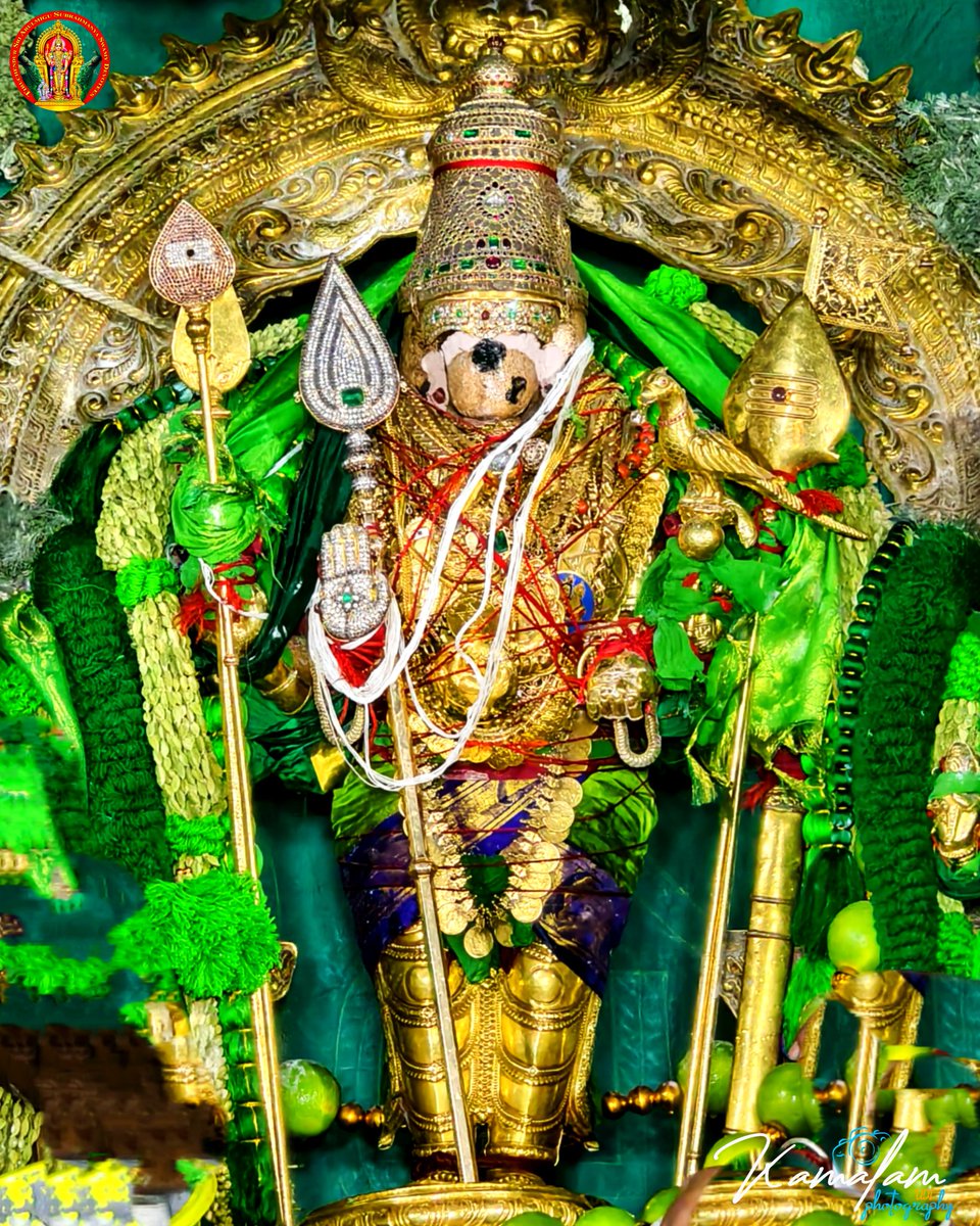 ChendurMuruga's tweet photo. ⚜️ செந்தூர் சக்கரவர்த்தி ⚜️

கந்தா சரணம்
கதிர்வேலா சரணம்!
செந்தூர் வாழும்
செல்வா சரணம்!

சிந்தை வாழும்
குகனே சரணம்!
அமரா பதிவாழ்
பதியே சரணம்!

சிந்தை மகிழும்
குருவே சரணம்!
சரணம் சரணம்
சண்முகனே சரணம்!

#முருகாசரணம் 🐓🦚
#MurugaSaranam
#मुरुगा_चरणों
#சண்முகாசரணம்
#ShanmugaSaranam https://t.co/casie4JyU2