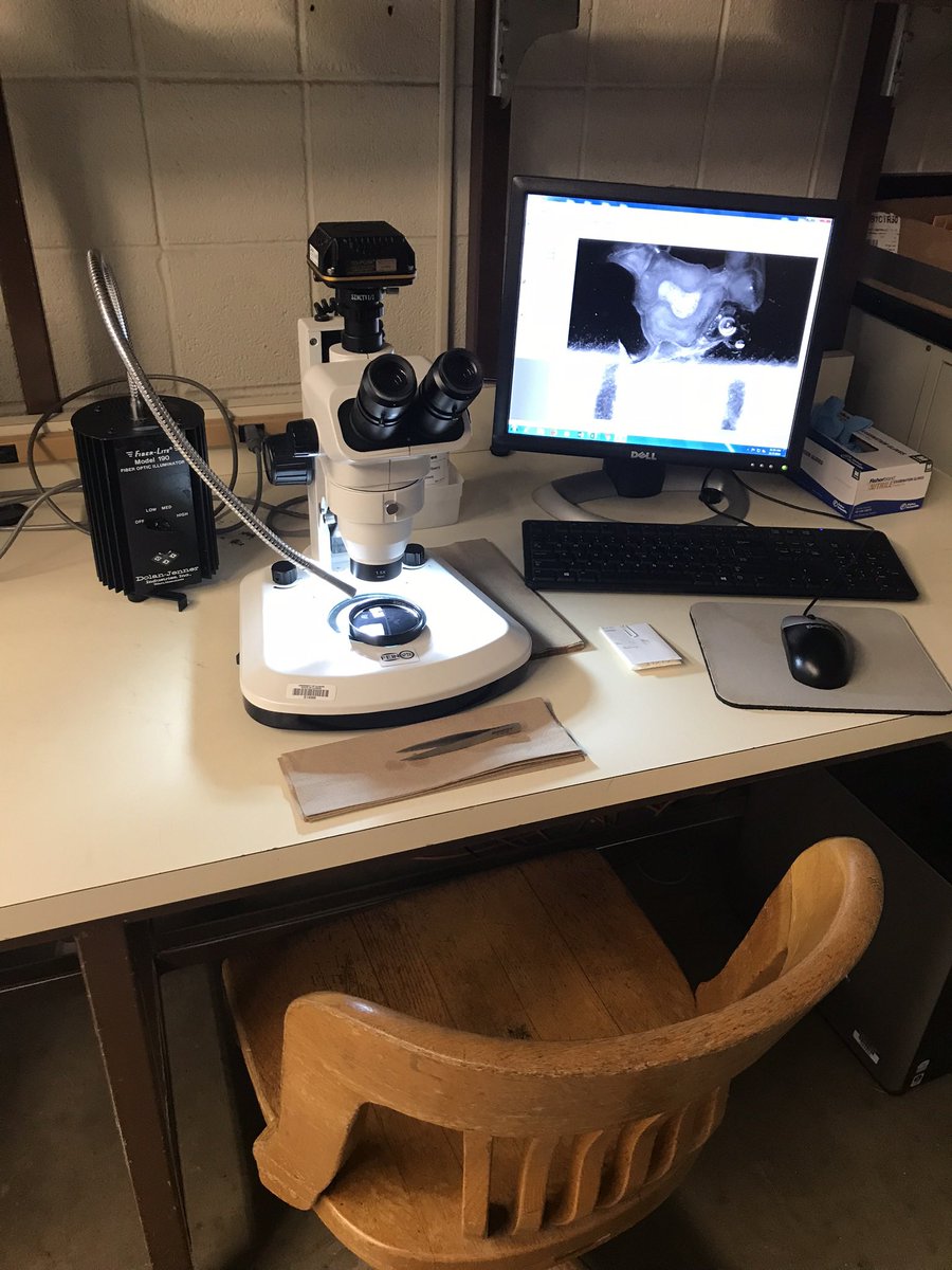 Sarah Molinaro tweet media