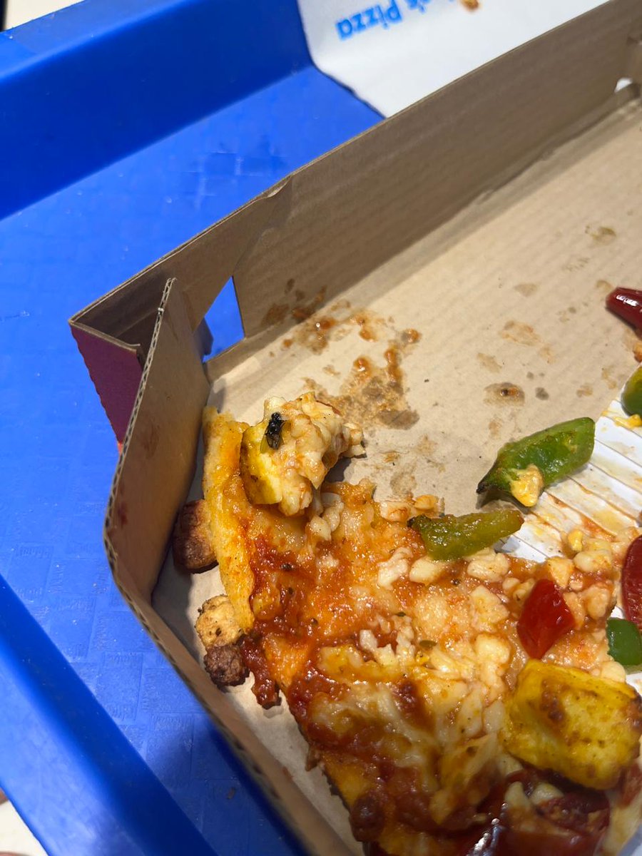 vndewangan's tweet photo. Ordered a Peppy Paneer Pizza from Domino’s and found a fly in the paneer! Unacceptable and shocking. Disappointed by the lack of concern from the staff. Domino’s needs to seriously address their hygiene standards.  @dominos_india   @PizzaHutIN @fss https://t.co/rjbb29lQhz