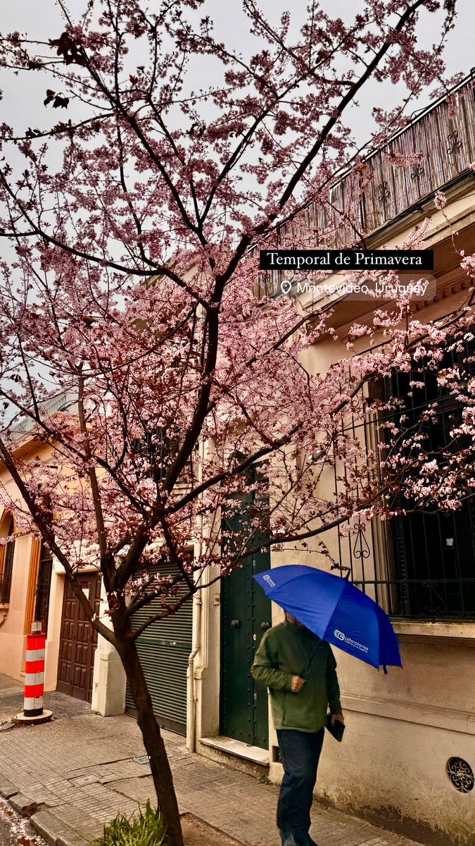 Diego Sanchez (@sohoshiatsu) on Twitter photo 