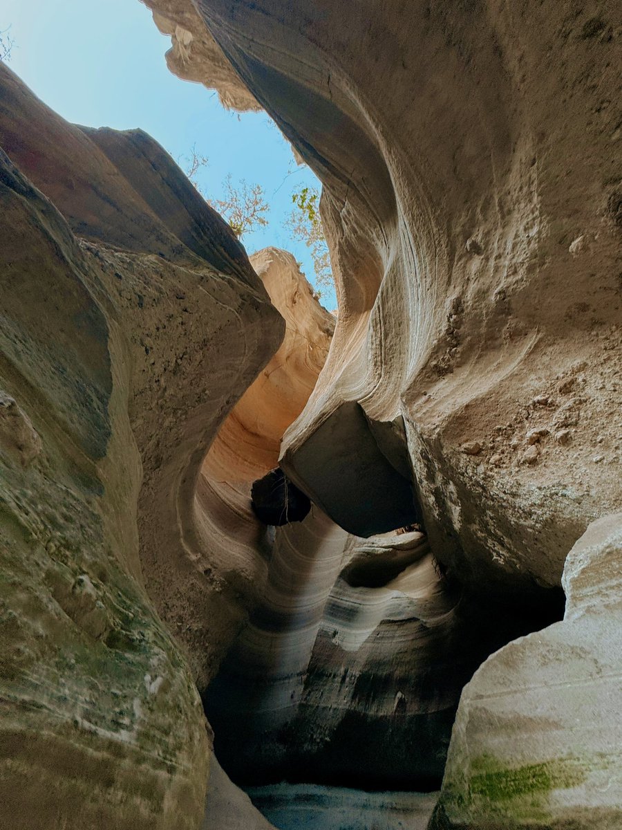 axelico170's tweet photo. 🌄 Arroyo del Cura | ig:axelico170 ☀️

El paraíso escondido que aguarda un rincón fronterizo que comparte Hidalgo y Veracruz, por sus impresionantes formaciones rocosas erosionadas por el agua y el viento 🌬️ ⛰️ y paisajes naturales que parecen sacados de otro mundo🌵 https://t.co/tliNrqgTK6