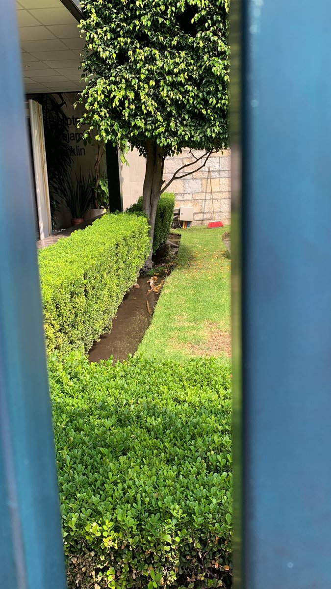 Meca fuga de agua en la <a href="/USEmbassyMEX/">Embajada EU en Mex</a> increíble q gasten el agua que no tenemos en <a href="/LaColoniaJuarez/">La Colonia Juárez</a>   
Su personal sale muy agresivo