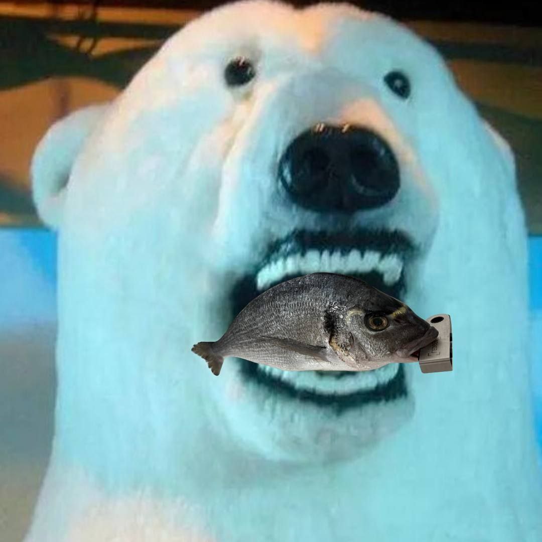 <a href="/Crypto_d0c/">doc/arc</a> <a href="/shahh/">shah</a> $CSFW is the next SCF