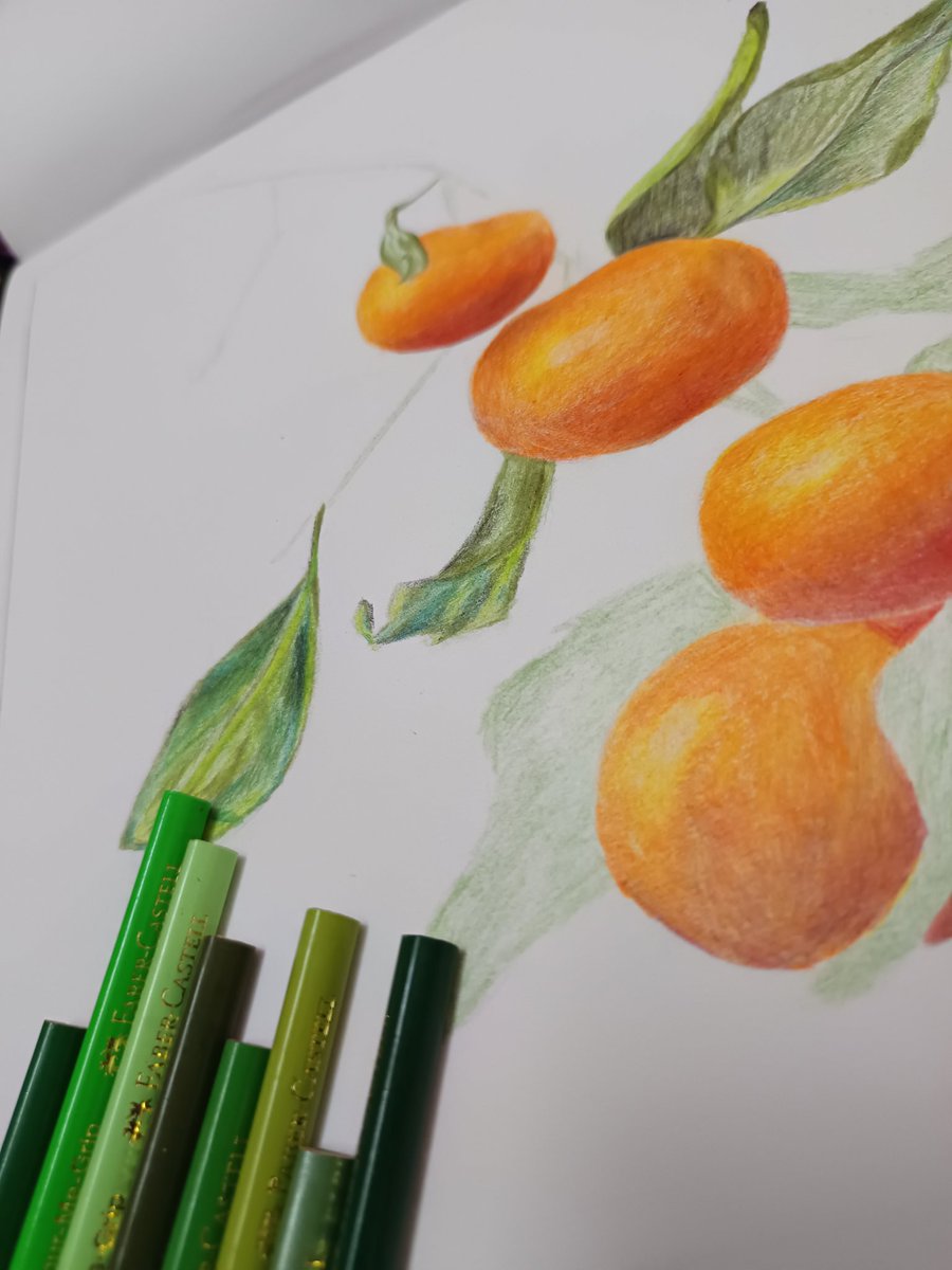 Rinkya_Designs's tweet image. Day 61: So excited to be working on this vibrant citrus still life! Can't wait to see how it turns out. 🍊
Behind the scenes of my latest creation. 
More to come!
 #ArtProcess #FollowForArt #art #drawing #coloredpencils #stilllife