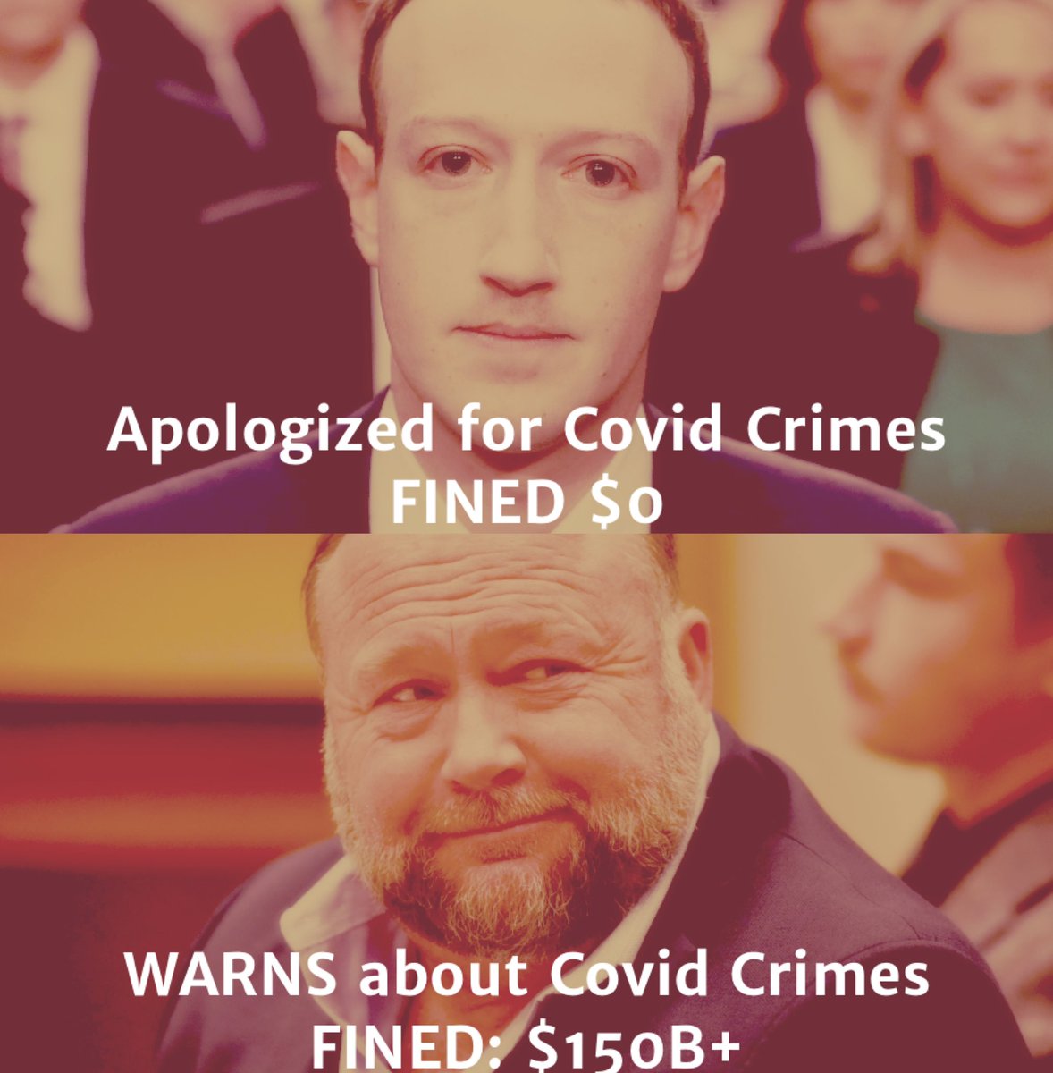 Liz Churchill tweet media