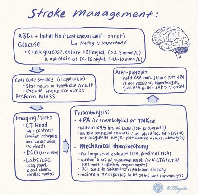 Stroke management