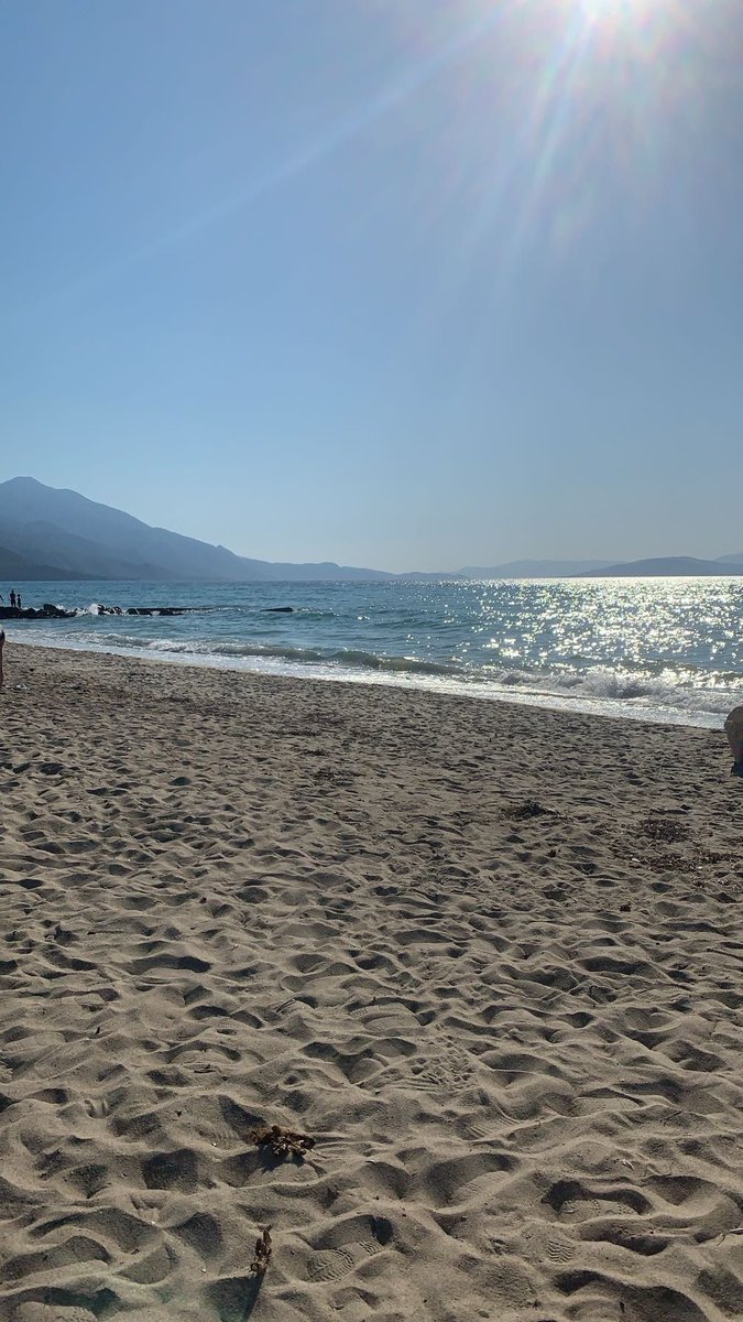 One7GC's tweet image. Honestly it was fun while it lasted, but we have a banner to summon on.
Expect a overlord summoning vid tomorrow :)