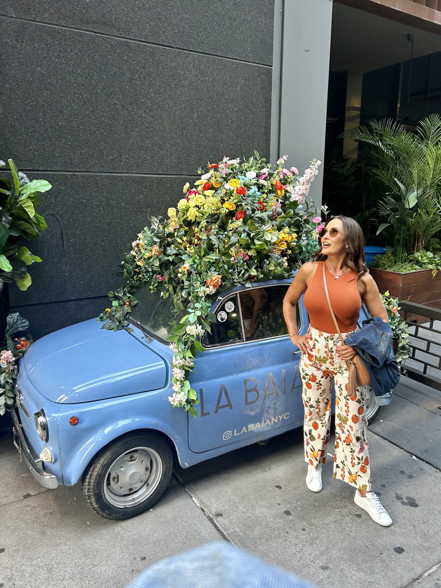 Lisa Ann tweet media