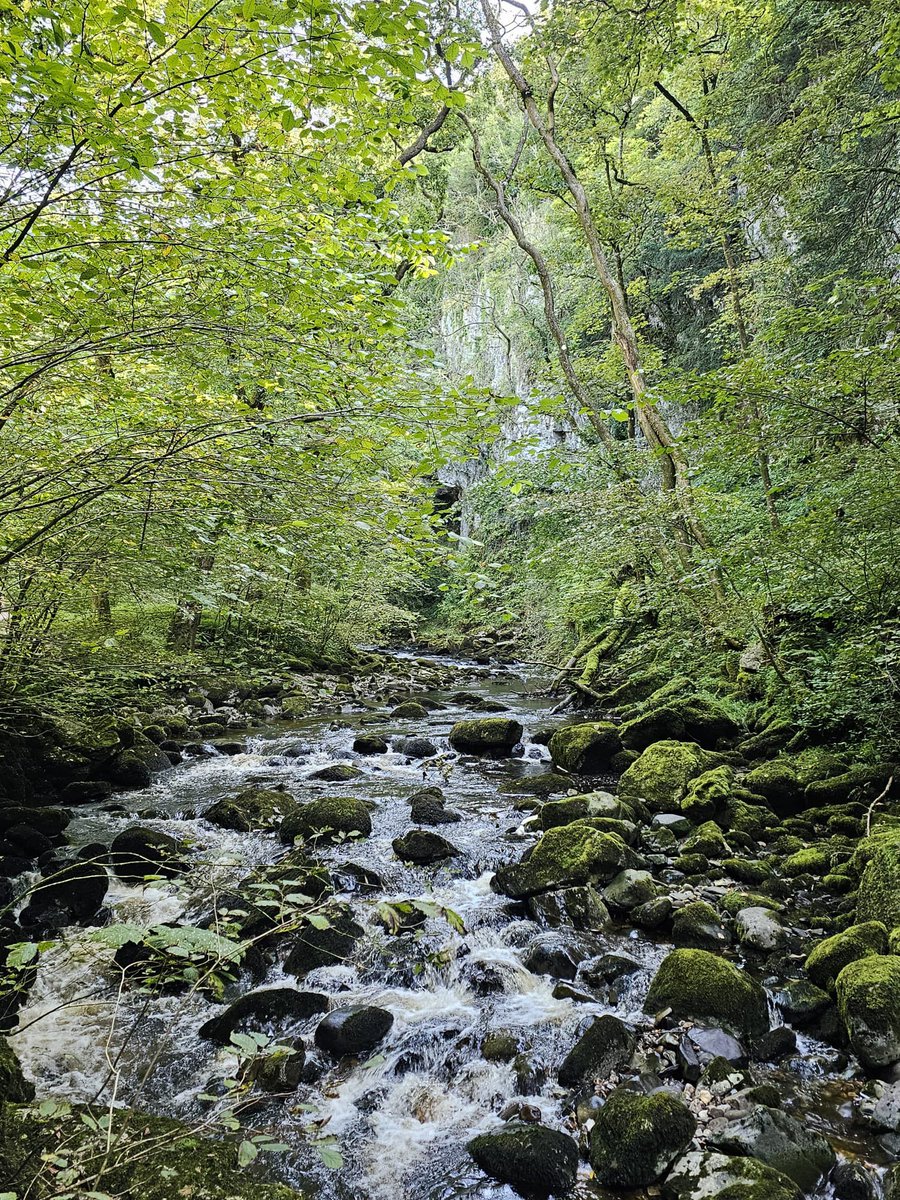 Fantastic morning in the sunshine with this one <a href="/longshlong501/">Mick Moore</a>  🥰 <a href="/IngletonFalls/">Ingleton Waterfalls Trail</a>