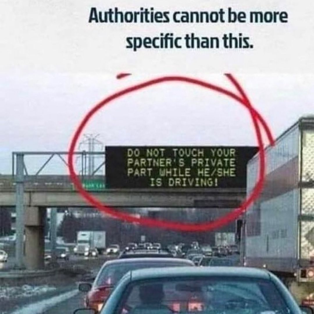 hourly_shitpost's tweet image. ㅤ