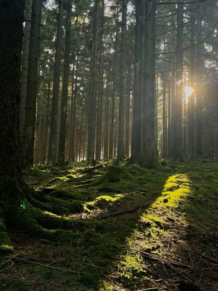 Не знаю, помните ли вы меня, но я снова тут!

Наверное,не самой хорошей идеей было пропадать на такой длительный срок, но на то были свои причины. Сейчас же я решил вернуться к вам с новыми силами. Но так как лето заканчивается, то не уверен, что буду  частенько сюда заглядывать)
