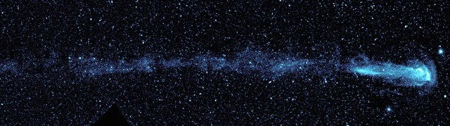 Voici une étoile étonnante! L'étoile Mira est une étoile qui perd de la matière. En se déplaçant dans le milieu entre les étoiles, elle laisse une traînée de gaz et de poussière. Sur ces observations UV, la traînée fait 13 années-lumière de long! (© Galex/Sahai)