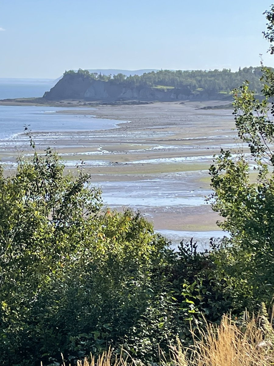 RaGaa's tweet image. Happy Labour Day 🤗#NovaScotia