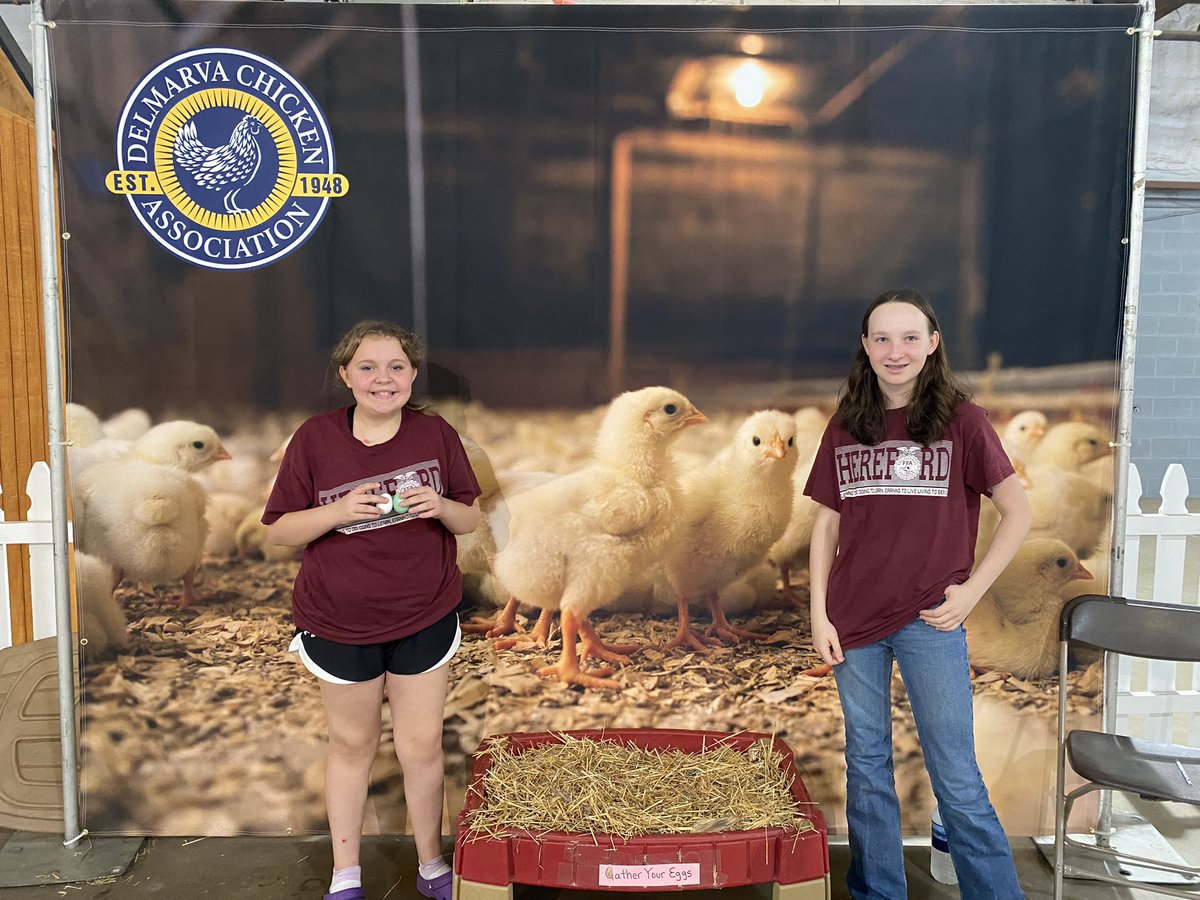 Sarah Raulerson tweet media