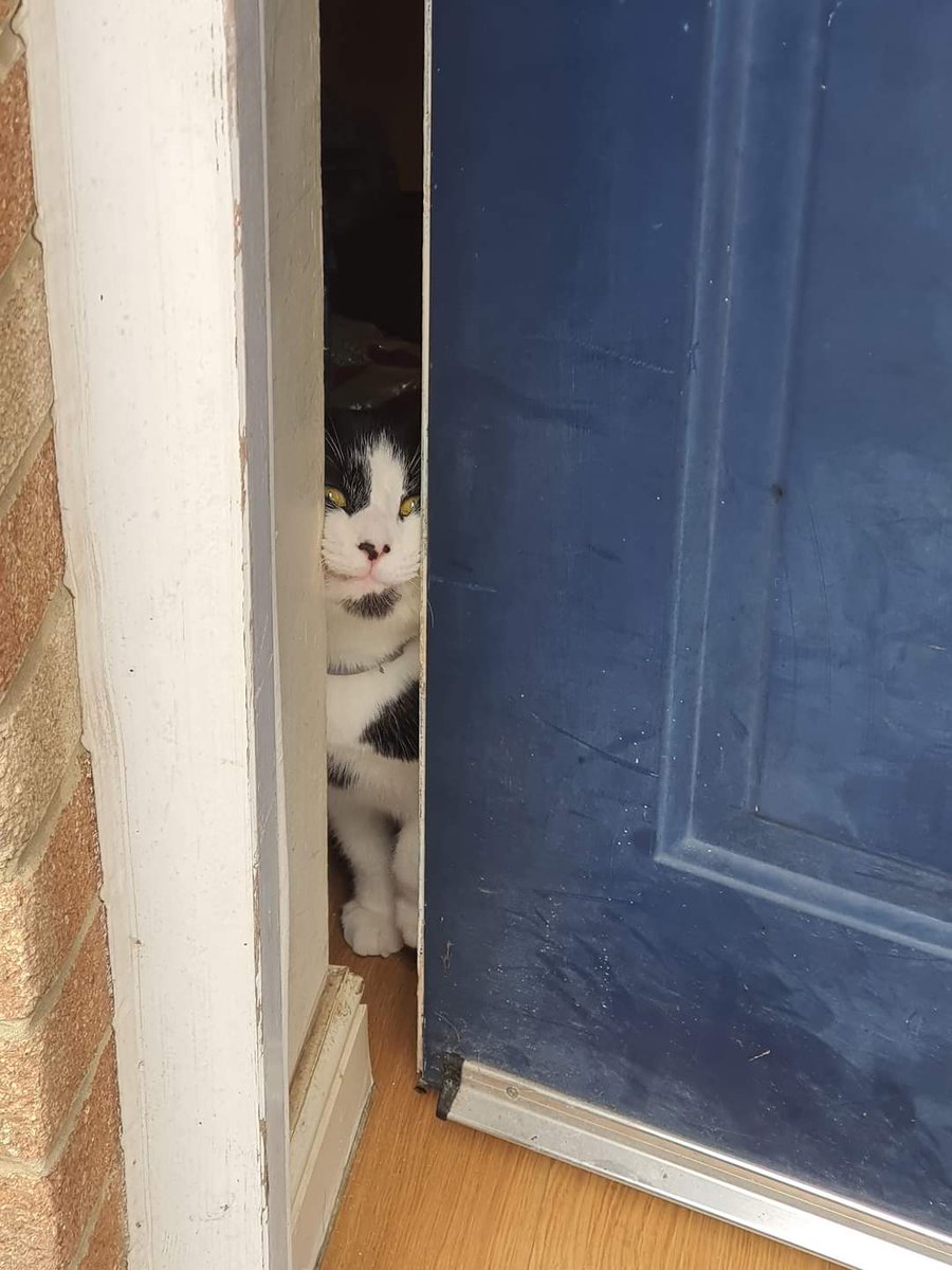 Bethan Beaver tweet media