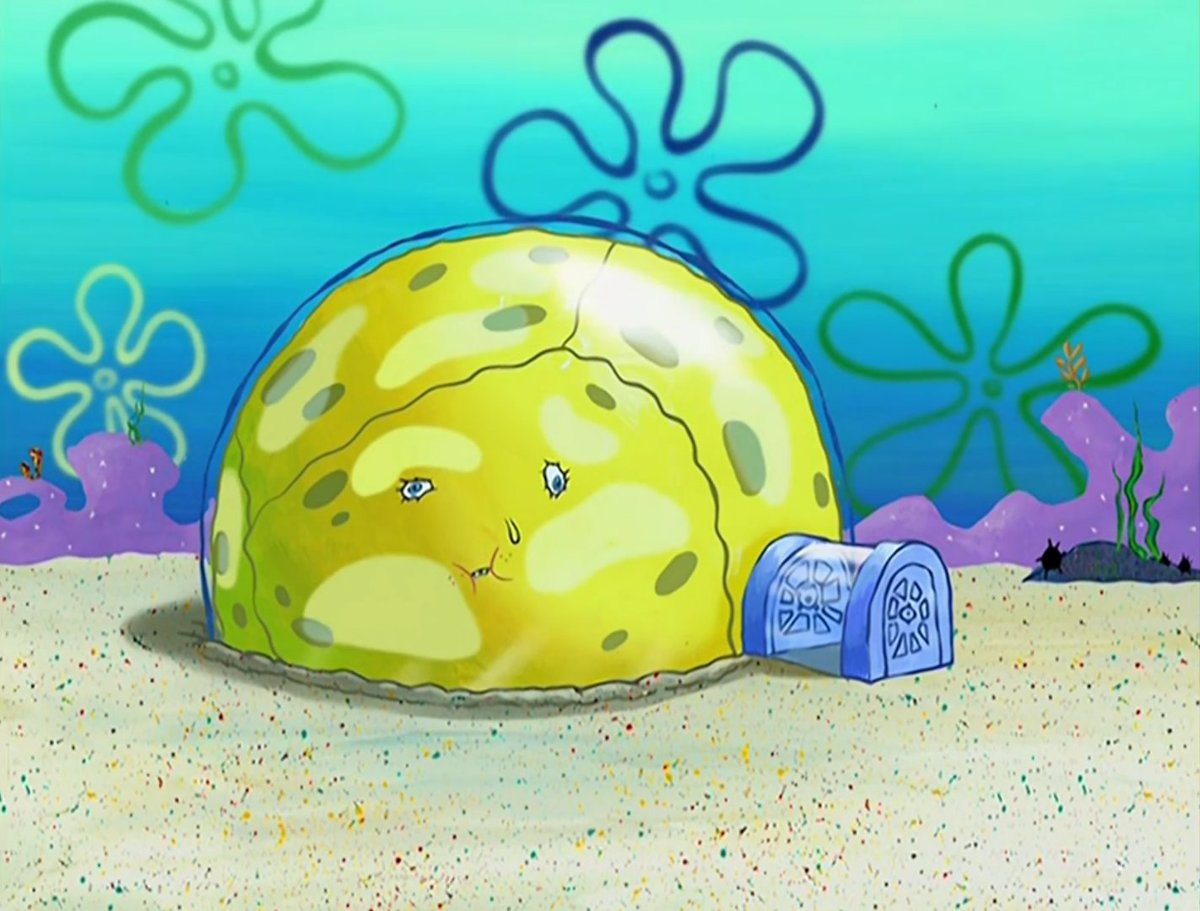 SpongeShots's tweet image. 