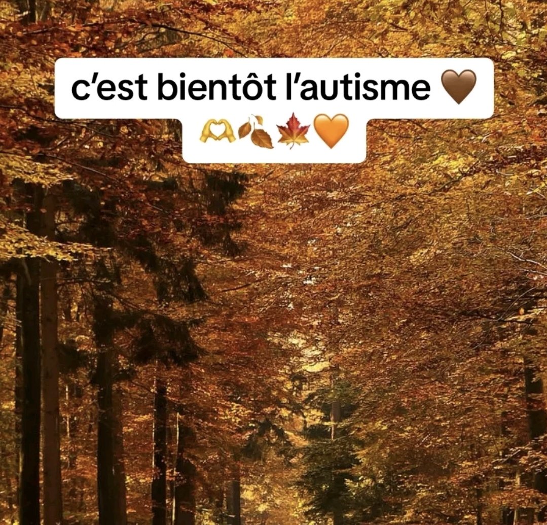 3arbi bleu tweet media