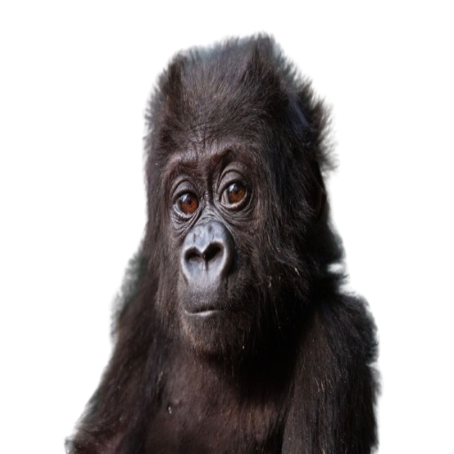 happy birthday <a href="/Hvide300/">Hvide</a>