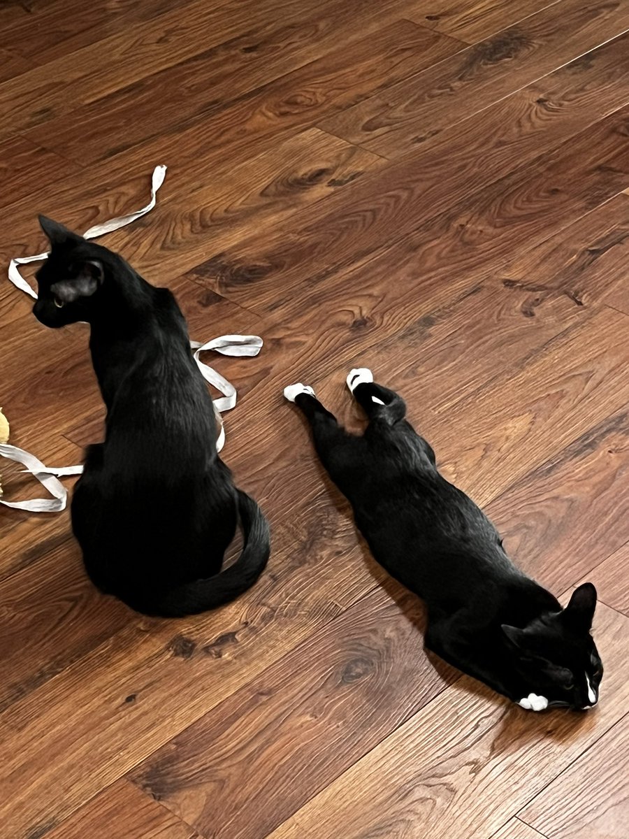 amber romero:) aka PARSLEY aka the yellow one 💛 (@amberromero99) on Twitter photo 