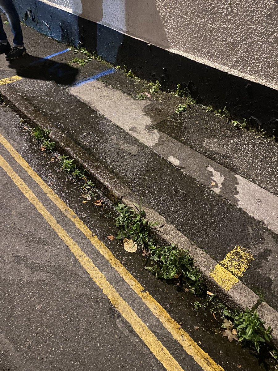 The Roebuck tweet media