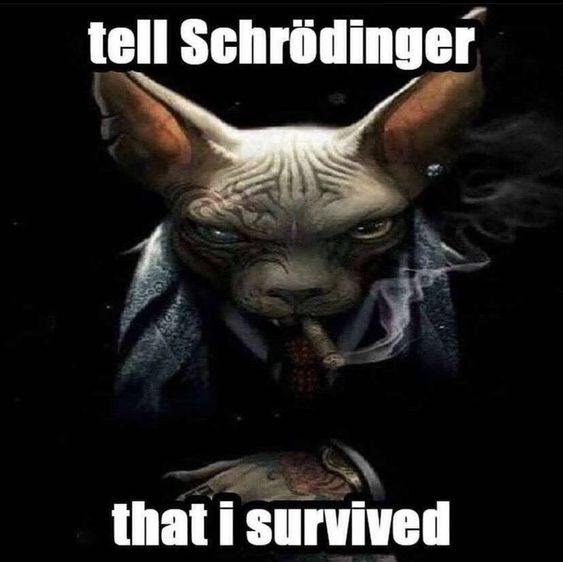 Happy birthday to mr <a href="/Hvide300/">Hvide</a>