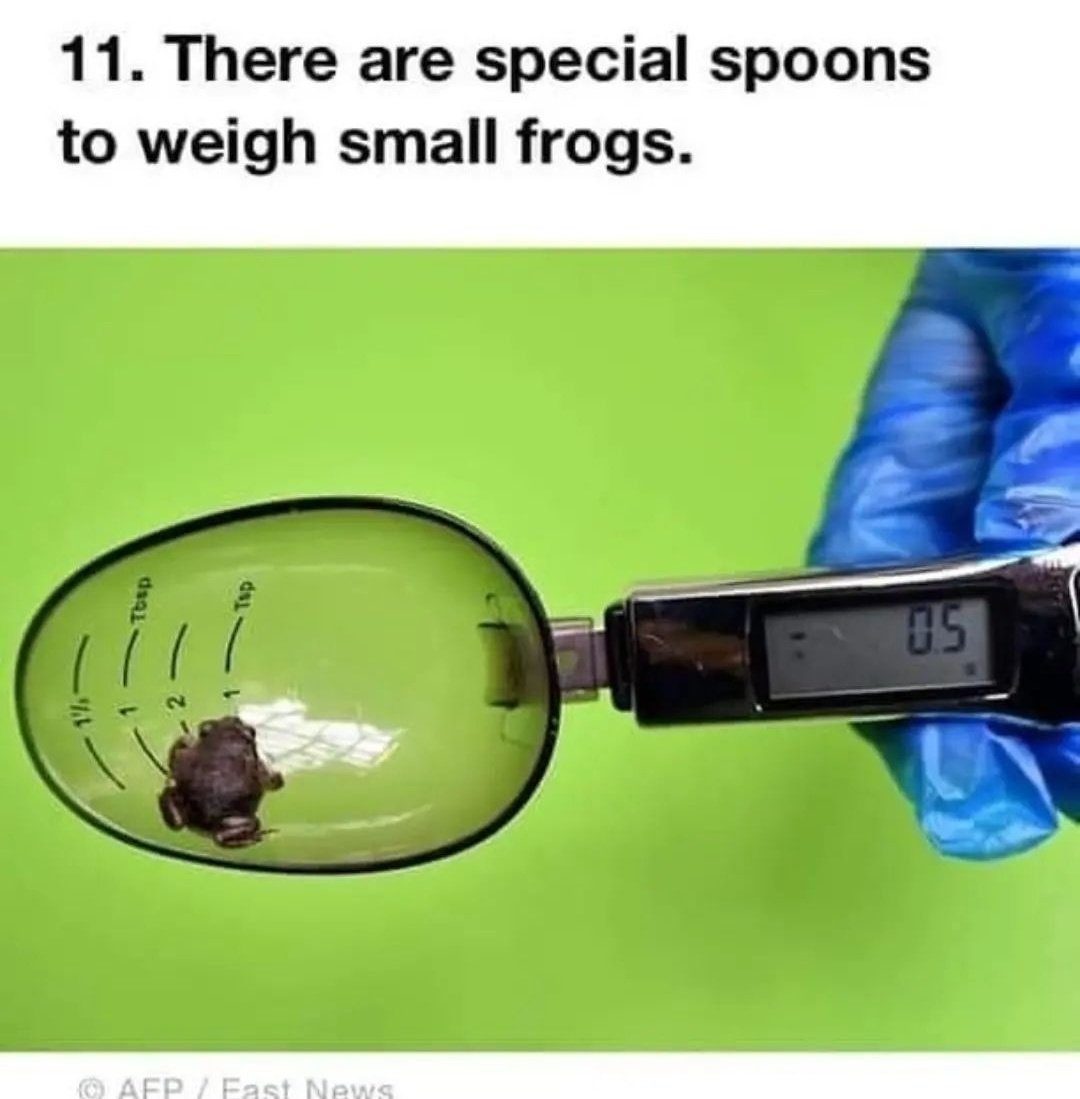 No Context Frogs (@nocontextfrogs) on Twitter photo 