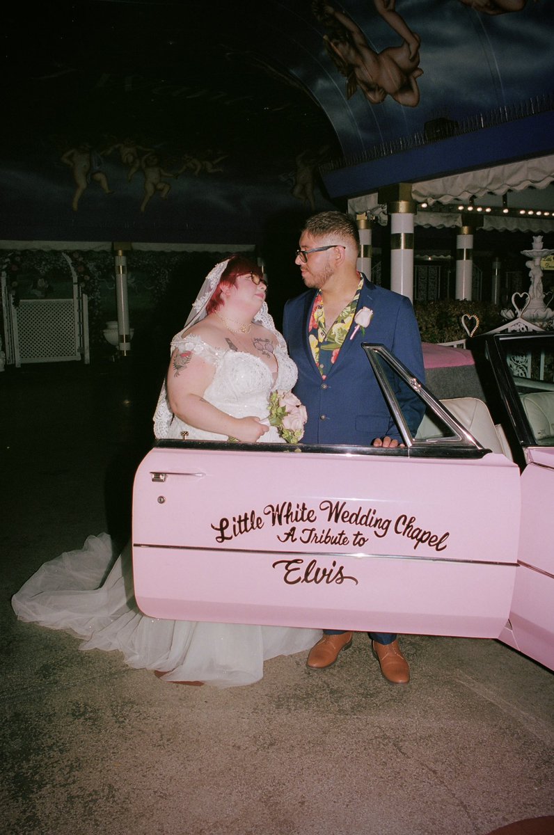 bearsubzero's tweet photo. our wedding photos turned out amazing https://t.co/QTyEikrwDS
