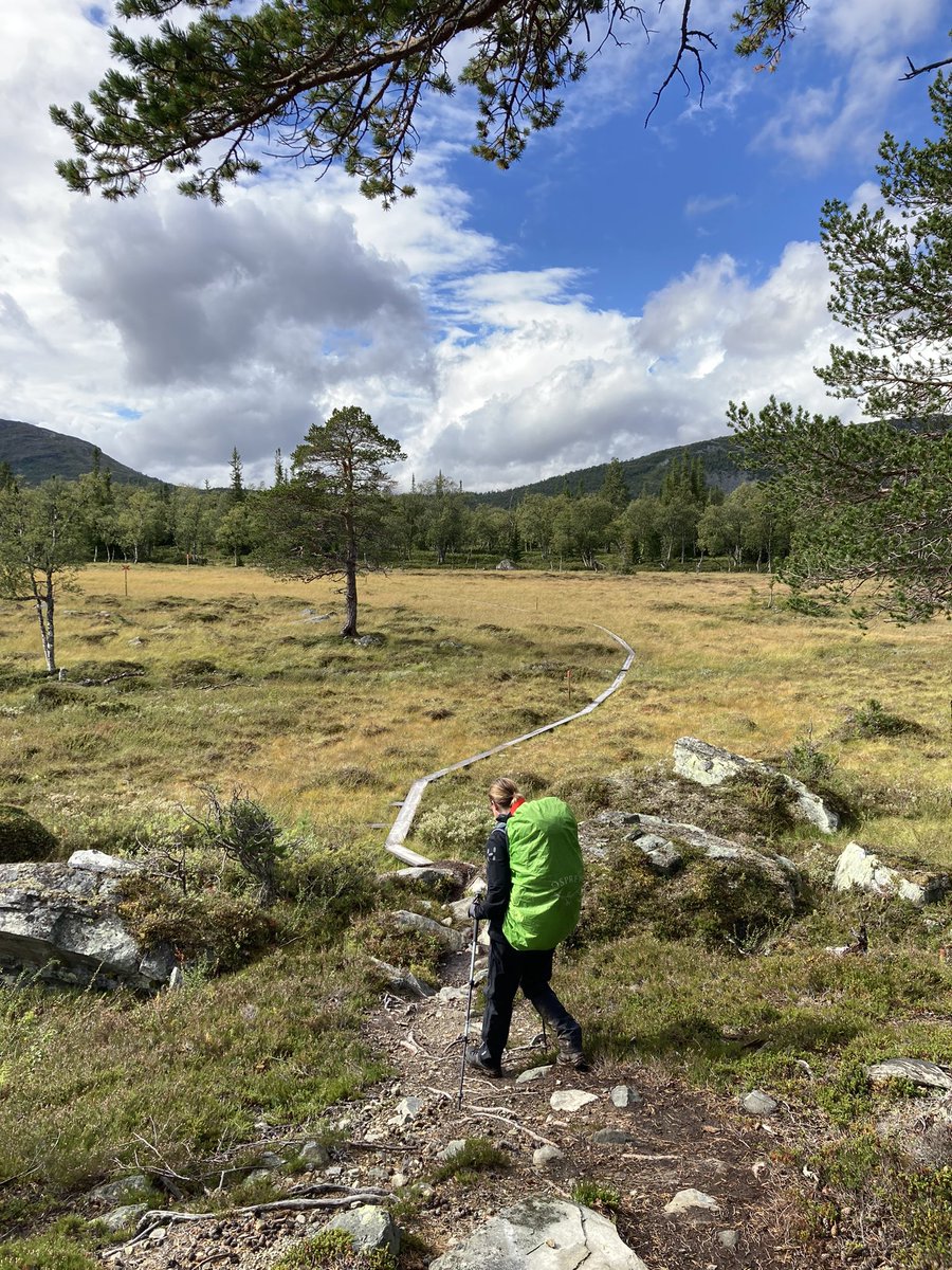 Mag ik terug? Na drie weken weer in Nederland en de hufterigheid van mijn medelanders valt gelijk weer op, op de snelweg, bij de supermarkt.

Oja, en ga vooral niet in Jämtland Zweden op vakantie, want dan blijft het daar rustig 😉