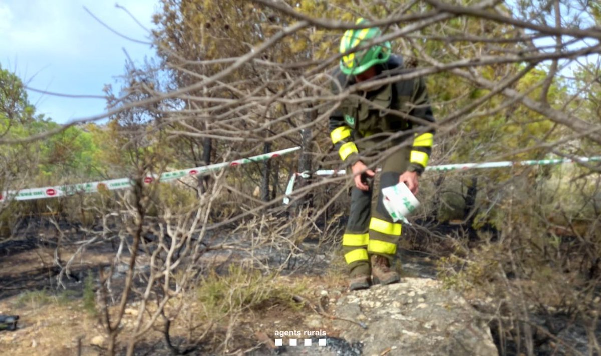 agentsruralscat's tweet photo. ℹ️🔥 L'incendi d'Ullà (Baix Empordà) afecta una superfície aproximada d'unes 0,8 ha. principalment de matollar. Totes dins el Parc Natural del Montgrí, les Illes Medes i el Baix Ter.

Les primeres investigacions d'Agents Rurals apunten a una negligència com la causa de l'incendi. https://t.co/wTXQcBsNrv