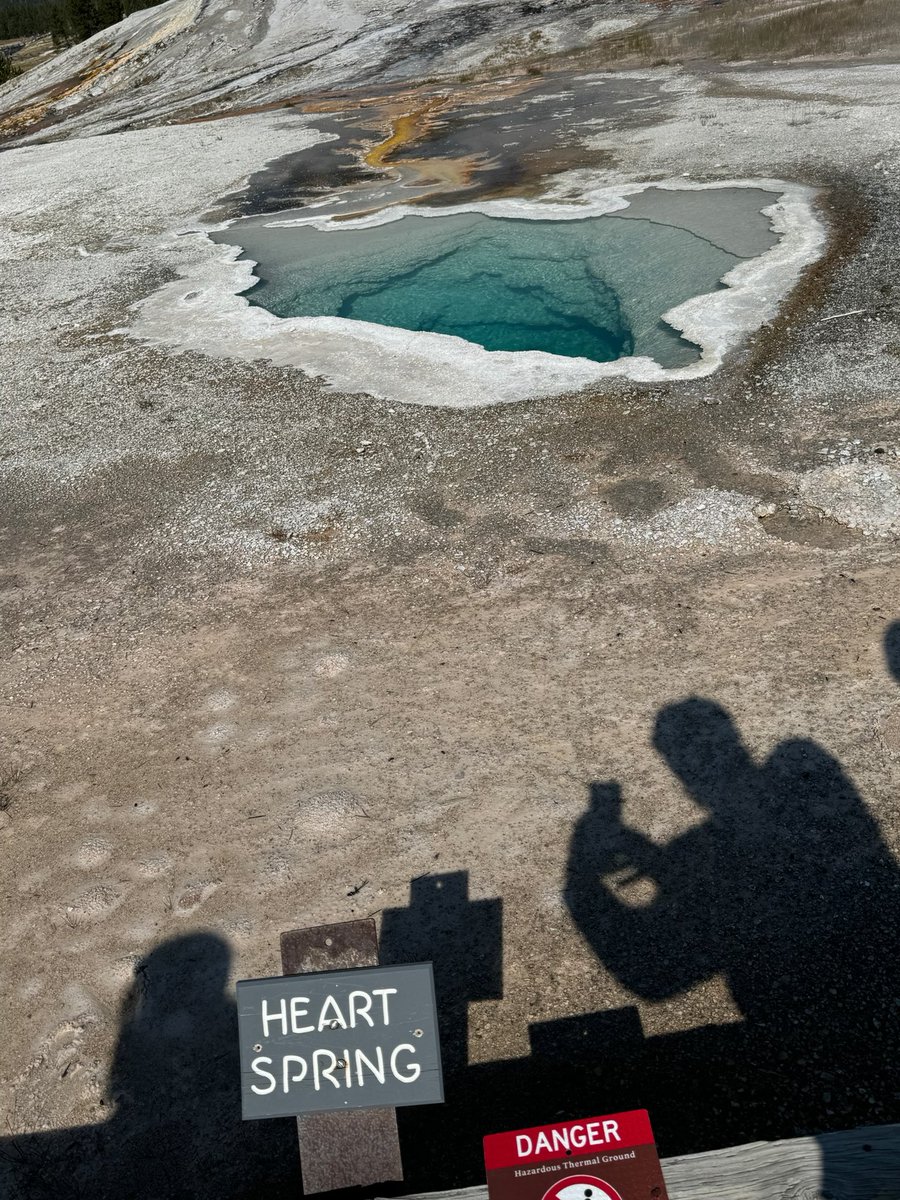 arwmd's tweet photo. Hello @iamritu and her ❤️ family in #London at #esc2024. @mmamas1973 @DrMarthaGulati @purviparwani @ErinMichos 

From you fam here in #yellowstone.     We thought of you …..

A good spring.   ❤️ https://t.co/zpbrmzQAXv