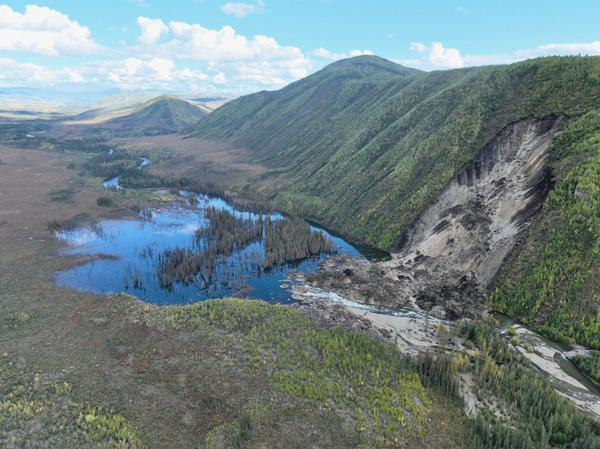 Brent Ward 🇺🇦 tweet media