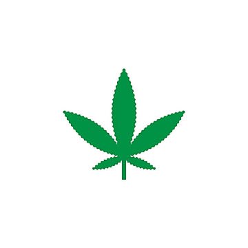 JUST IN: 🇺🇸 Donald Trump announces support for legalizing marijuana.