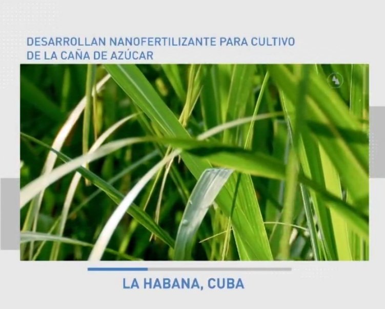 Ministerio de Ciencia, Tecnología y Medio Ambiente tweet media