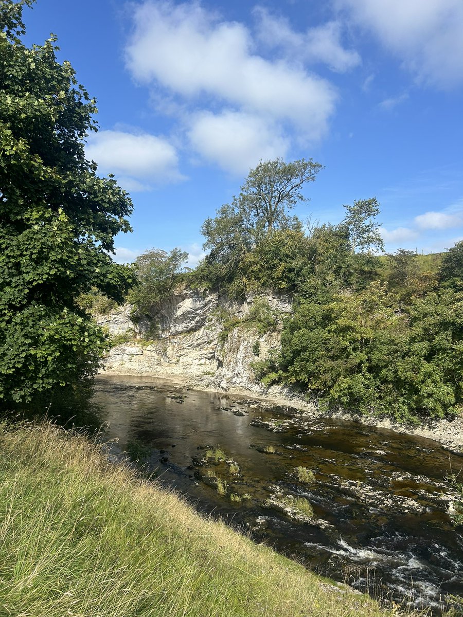 Abigail Scott Paul tweet media